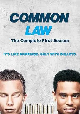 《共同法则》：律师的困境与救赎，正义之路的迷雾与光明