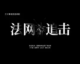 《法网追击》：正义之光能否穿透黑暗？一场关于良知与罪恶的终极较量！