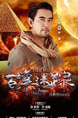 《百慕迷踪》：揭秘神秘三角洲失踪之谜，一场关于勇气、亲情与希望的惊险旅程